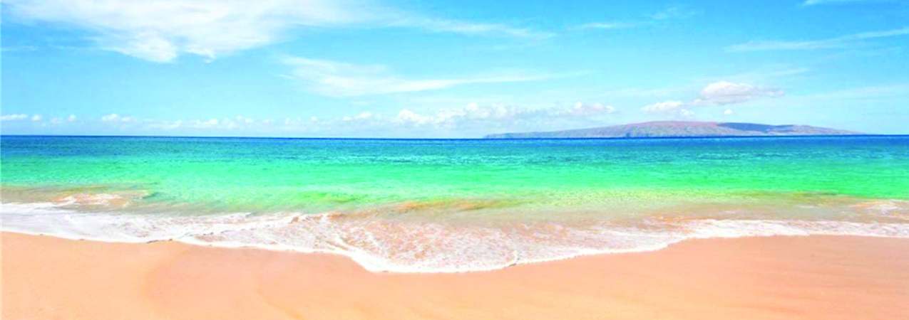 Pure Earth Ceylon